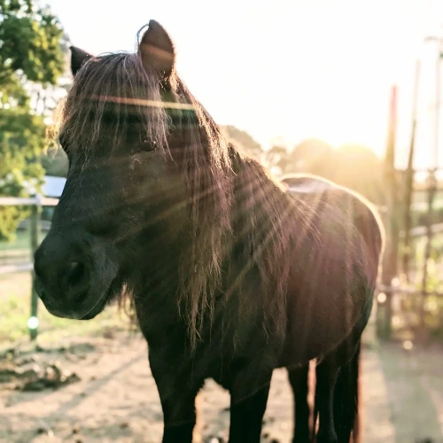 Profile photo of Jolly Jammer